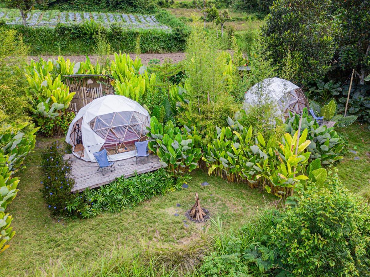 Cloud Hills Glamping Hotel Kintamani Buitenkant foto
