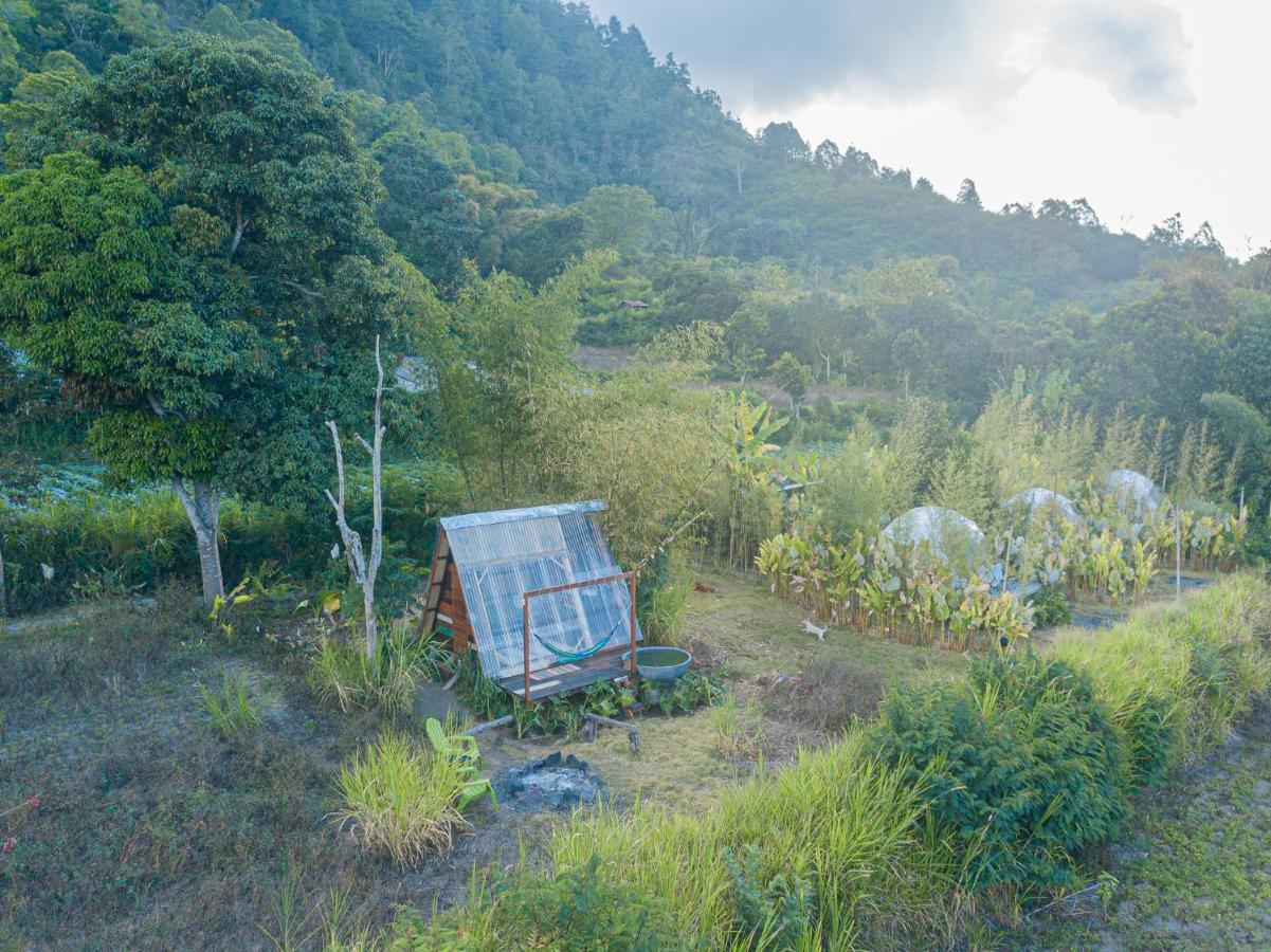 Cloud Hills Glamping Hotel Kintamani Buitenkant foto